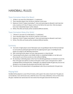 HANDBALL RULES