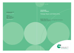 Paper Predatory Pricing 2009_07_20