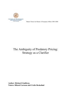 The Ambiguity of Predatory Pricing: Strategy as a Clarifier