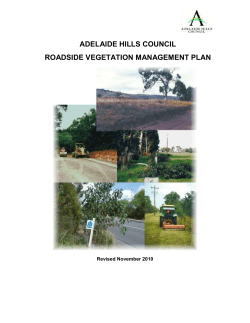 road reserve management plan
