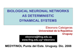 n-1 - eleonora