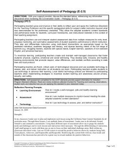 Sarah - 3rd Grade - Self Assessment of Pedagogy