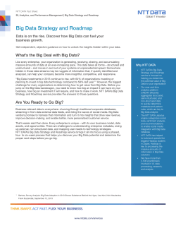 Big Data Strategy and Roadmap