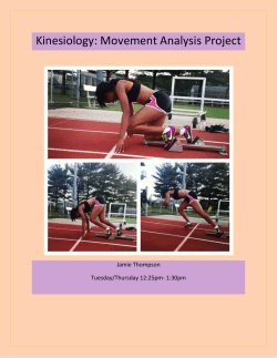 Movement Analysis Project