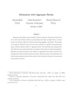Estimation with Aggregate Shocks