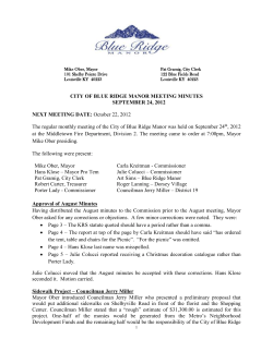 November 24, 2008 - City of Blue Ridge Manor