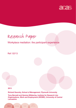 The mediation process and its outcomes: perceptions and