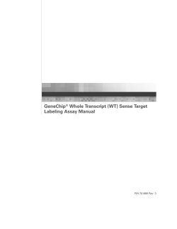 (WT) Sense Target Labeling Assay Manual