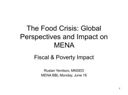 The Food Crisis: Global Perspectives and