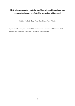 Maternal condition and previous reproduction interact to affect