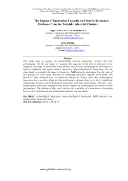 The Impact of Innovation Capacity on Firm Performance