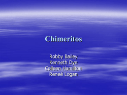 Chimeritos