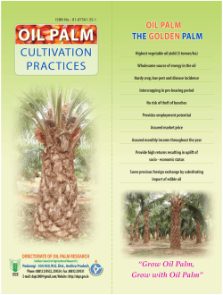 Highest vegetable oil yield (5 tonnes/ha) Wholesome source of
