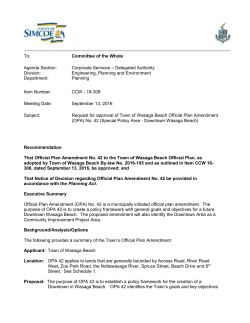 Council and Committee Report Template