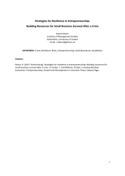 Strategies for Resilience in Entrepreneurship