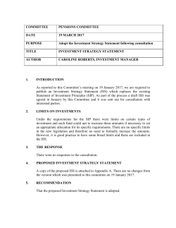 investment strategy statement 2017/18