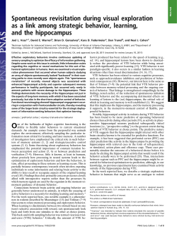 Spontaneous revisitation during visual exploration as a link among