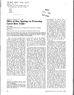 Effect of row spacings on processing carrot root yields