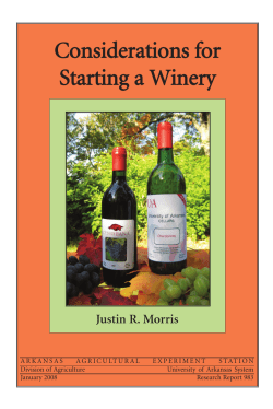 Considerations for Starting a Winery
