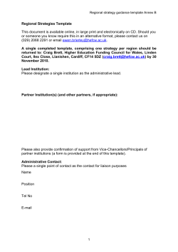 Annex B: Regional Strategies Template