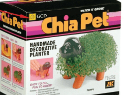 Ch-Ch-Ch-Chia