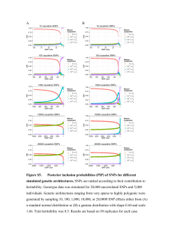 A B Figure S5. Posterior inclusion probabilities (PIP) of SNPs for