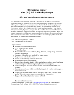 Full Ice Hockey League Offering a blended approach to development