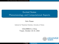 Excited States: Phenomenology and Computational Aspects