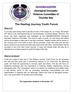 NAADMAAGEWIN Aboriginal Domestic Violence Committee of