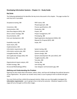Developing Information Systems
