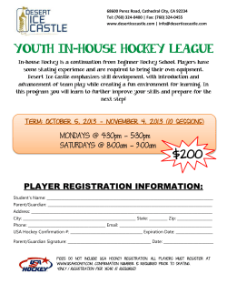 youth in-house hockey league