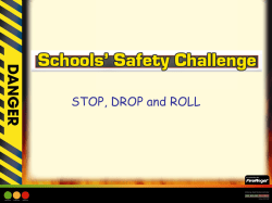 ROLL - Schools` Safety Challenge