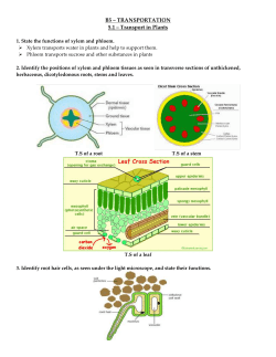 B5.1 Revision notes