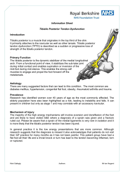 Tibialis Posterior Tendon Dysfunction