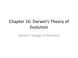 Chapter 16: Darwin*s Theory of Evolution