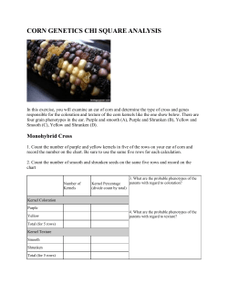 corn genetics chi square analysis