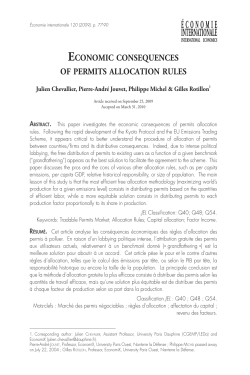 economic consequences of permits allocation rules