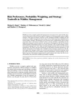 Risk preferences, probability weighting, and strategy tradeoffs in