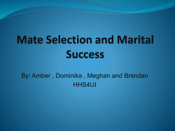 Mate Selection and Marital Success