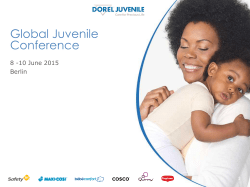 PowerPoint template - Karl