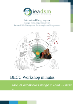 BECC-workshop-minutes
