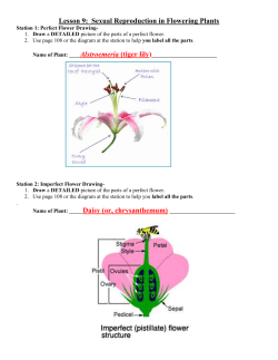 Lesson 9: Sexual Reproduction in Flowering