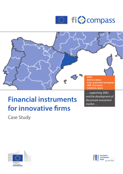 Financial instruments for innovative firms - Case Study - fi