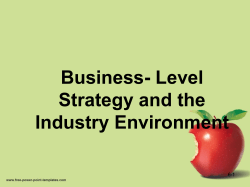 BUSINESS-LEVEL STRATEGY AND