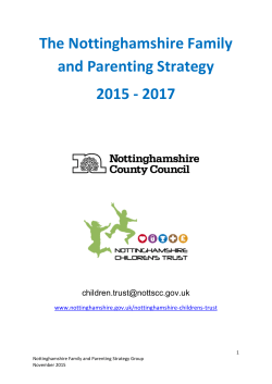 Item 2a - strategy action plan - Nottinghamshire County Council