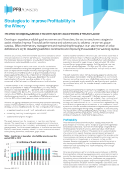 Strategies to Improve Profitability in the Winery