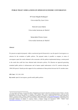 The speed of convergence and economic policy instruments: