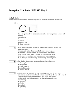 Perception Unit Test