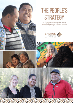 the people`s strategy