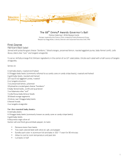 2016 Emmys Recipes FINAL